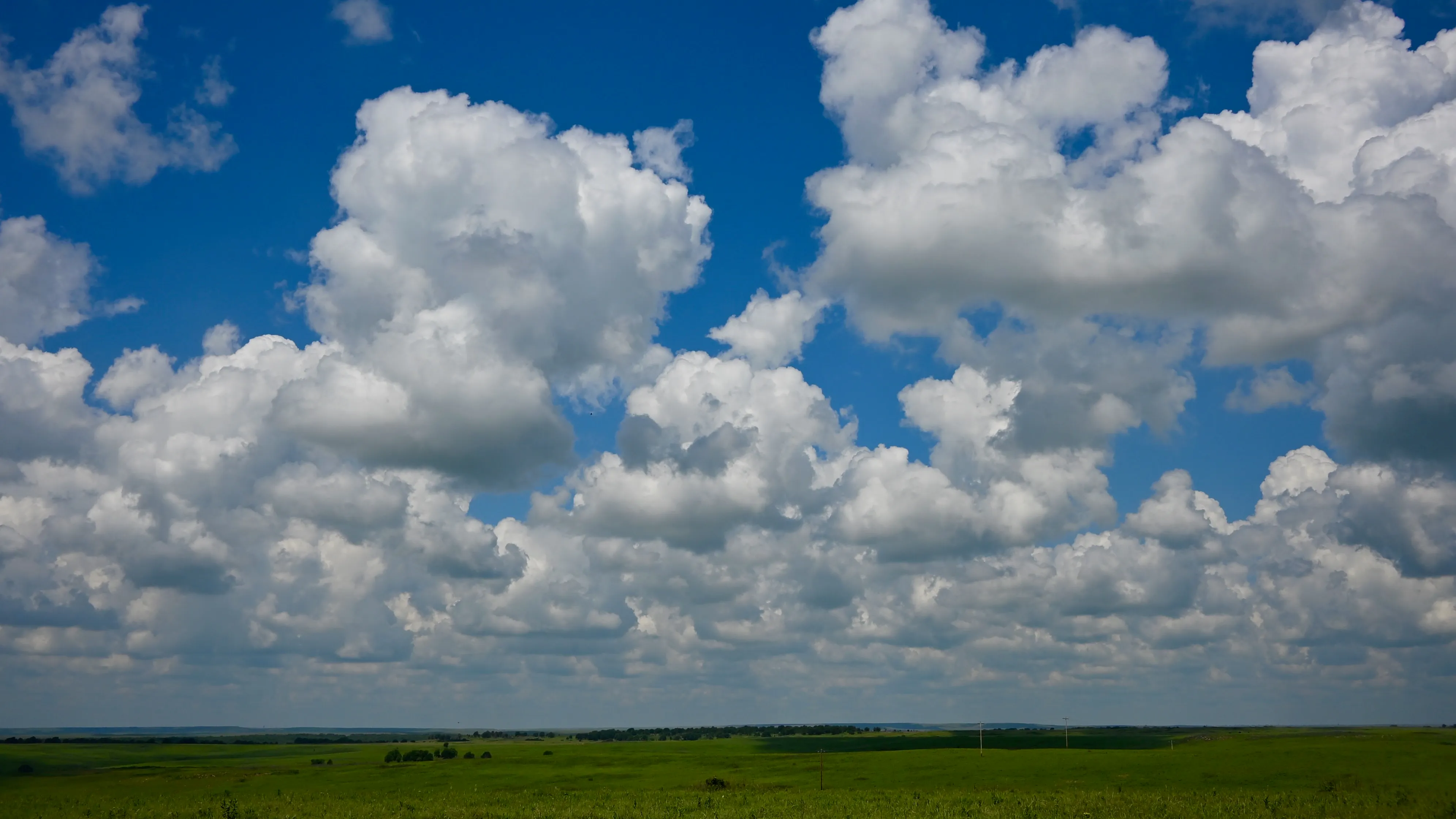 Landscapes gallery cover